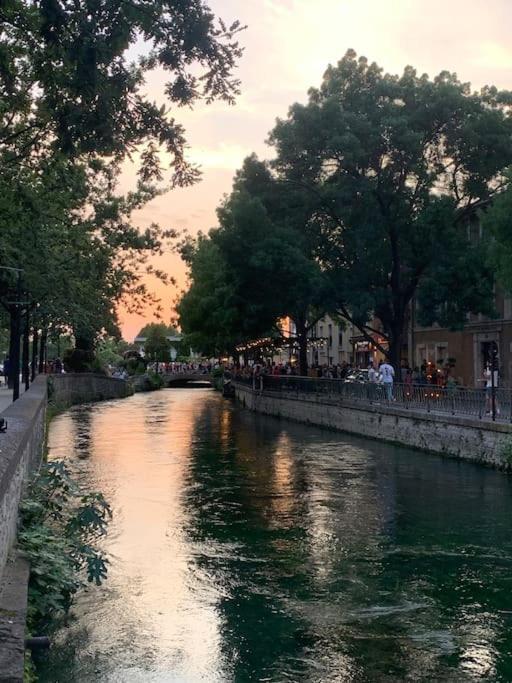 Апартаменти La Terrasse Du Pont Jullian Charme Et Calme Dans Le Coeur Historique Л'Іль-сюр-ла-Сорг Екстер'єр фото